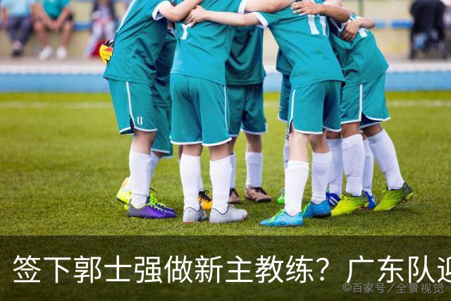 签下郭士强做新主教练？广东队迎来换帅机会，杜锋有望执教国家队
